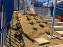 Câmara instala jardins e embeleza áreas adjacentes de seu prédio. Câmara instala jardins e embeleza áreas adjacentes de seu prédio.
