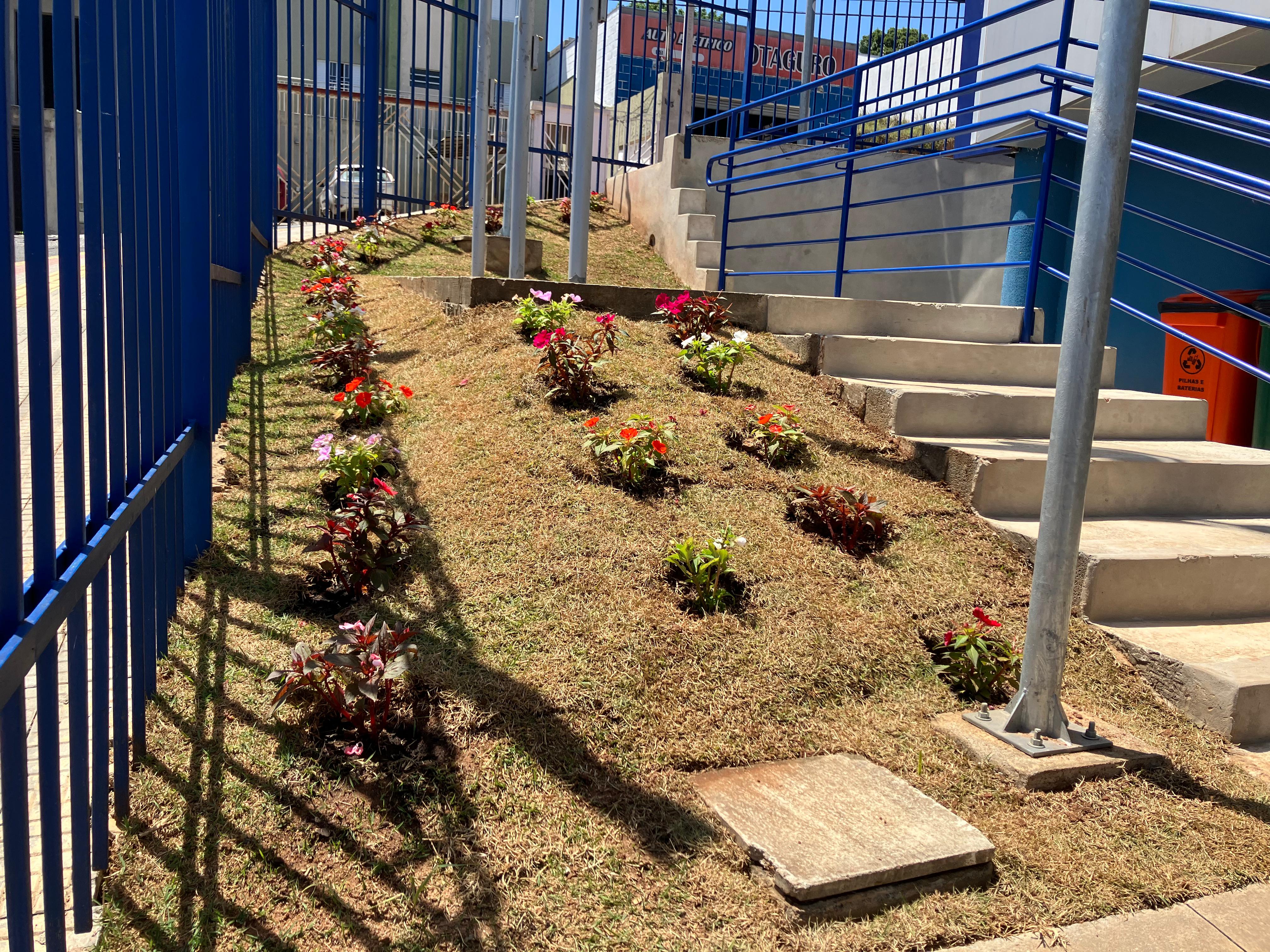 Câmara instala jardins e embeleza áreas adjacentes de seu prédio.